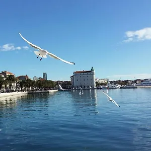 Oli Apartamento Split